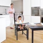 Trio 3-in-1 High Chair? - Ansley?