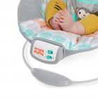 Bright Starts Cradling Bouncer - Whimsical Wild