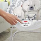 Fisher-Price See & Soothe Deluxe Bouncer, Hands-Free