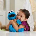 Playskool Friends Sesame Street Feed Me Cookie Monster