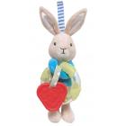 Kids Preferred Beatrix Potter Peter Rabbit Activity Toy