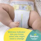 Pampers Swaddlers Overnights Diapers Size 6 44 Count