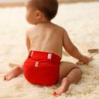 gDiapers - Little gPant, Grateful Red