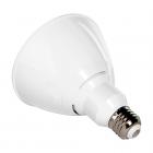 Euri LED Light Bulb, PAR38, 17W (100W Equivalent), Cool White