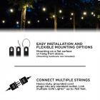 Enbrighten Classic LED Café String Lights, 24ft. 12 Acrylic Bulbs, Indoor/Outdoor, Weatherproof, Shatterproof, Black Cord, 31662