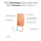 Globe Electric Himalayan Salt Cylinder Night Light, Incandescent Bulb included, 89793