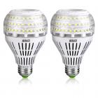SANSI A21 22W (250-200Watt Equivalent) Omni-Directional Ceramic LED Light Bulbs 3000 lumens, 5000K Daylight, CRI 80+, E26 Medium Screw Base Home Lighting (2Pack)