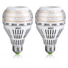 SANSI A21 22W (250-200Watt Equivalent) Omni-Directional Ceramic LED Light Bulbs 3000 lumens, 5000K Daylight, CRI 80+, E26 Medium Screw Base Home Lighting (2Pack)