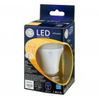 GE LED General Purpose Bulb 100 W Soft White, 1.0 CT