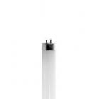 Bulbrite LED Light Tube, Cool White, 32WE, 1 Ct