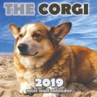 The Corgi 2019 Mini Wall Calendar (Paperback)