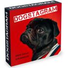 2020 Dogstagram Daily Desktop Calendar