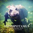 Hippopotamus Calendar 2019: 16 Month Calendar (Paperback)