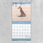 2020 Baby Animals Mini Calendar