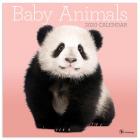 2020 Baby Animals Wall Calendar