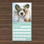 2020 Dog Dreams Wall Calendar