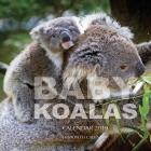 Baby Koalas Calendar 2019: 16 Month Calendar (Paperback)