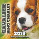 Cavalier King Charles 2019 Mini Wall Calendar (Paperback)