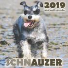 Schnauzer 2019 Mini Wall Calendar (Paperback)