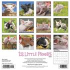Willow Creek Press 2020 12 Little Piggies Wall Calendar