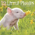 Willow Creek Press 2020 12 Little Piggies Wall Calendar