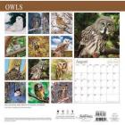 DaySpring 12" x 12" Wall Calendar Owls, P2