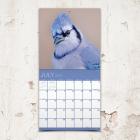 2020 Backyard Birds Mini Calendar