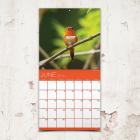 2020 Backyard Birds Mini Calendar