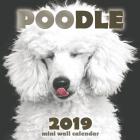 Poodle 2019 Mini Wall Calendar (Paperback)