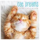 2020 Cat Dreams Wall Calendar