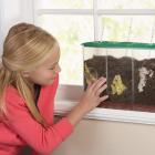 Now You See It, Now You Don't?See-Through Compost Container Educational Insights