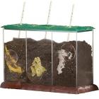 Now You See It, Now You Don't?See-Through Compost Container Educational Insights