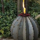 Desert Steel Golden Barrel Cactus Torch