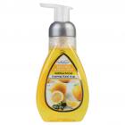 719 Walnut Avenue 12 Fl. Oz. Kitchen Lemon Zest Antibacterial Foaming Hand Soap