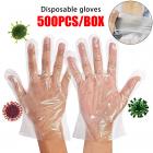 Plastic Gloves 100PCS