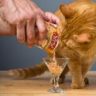 Delectables Lickable Cat Treats - Stew Senior 10 yrs+ Chicken & Tuna, 1.4 Oz.