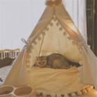 Moaere 28 Inch Pet Teepee House Fold Away Pet Tent Furniture Cat Bed with Cushion