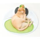 Catit Senses 2.0 Self Grooming Wellness Center Cat Toy