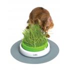 Catit Senses 2.0 Grass Planter Cat Toy