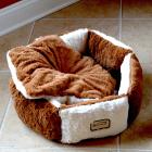 Armarkat Pet Bed, C02NZS/MB, Brown & Ivory