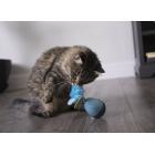 Petlinks® Dizzy Thing™ Electronic Spinning Cat Toy