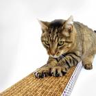 SmartyKat Cat Supplies Value Pack: Scratcher, Catnip, Wand Cat Toy