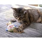 Petlinks® Garden Sweet Tweet Electronic Bird Sound Cat Toy