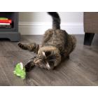 SmartyKat Cruzin' Critter Lizard Electronic Motion Cat Toy