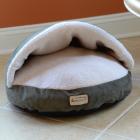 Armarkat Cat Bed, Laurel Green and Ivory, C31HML/MB