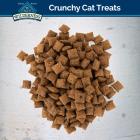 Blue Buffalo Wilderness Grain Free Crunchy Chicken Cat Treats, 12-oz Tub