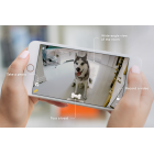 Petcube Bites Wi-Fi Pet Camera with Treat Dispenser - Matte Silver