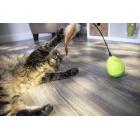 Petlinks® Wild Thing™ Electronic Motion Cat Toy