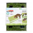 Petstages Grass Patch Hunting and Play Box Ball Cat Toy