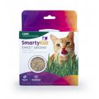 SmartyKat Sweet Greens Kit Cat Grass Grow Kit
